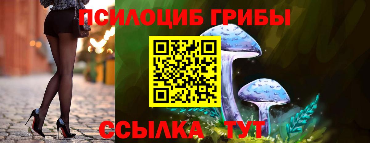 Острогожск  Галлюциногенные грибы мицелий  продажа наркотиков  Галлюциногенные грибы мицелий  Вход с VPN 